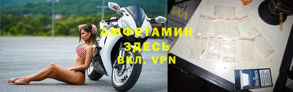 индика Алзамай