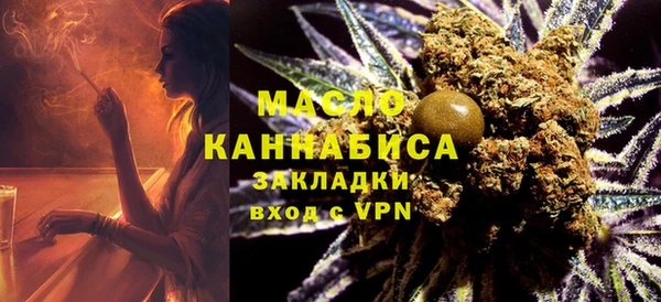 индика Алзамай