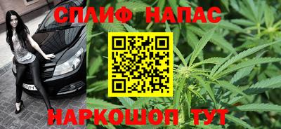 сатива Камышлов