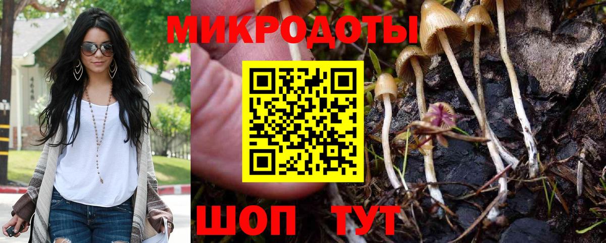 Галлюциногенные грибы MAGIC MUSHROOMS  Псилоцибиновые грибы Magic Shrooms  Вход с VPN  Менделеевск 